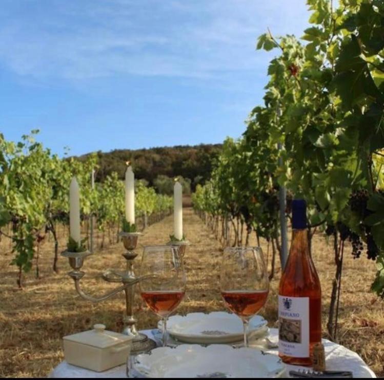 Podere Il Carpiano Scarlino Bagian luar foto