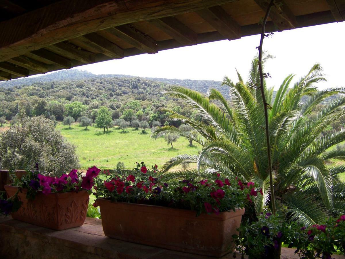 Podere Il Carpiano Scarlino Bagian luar foto